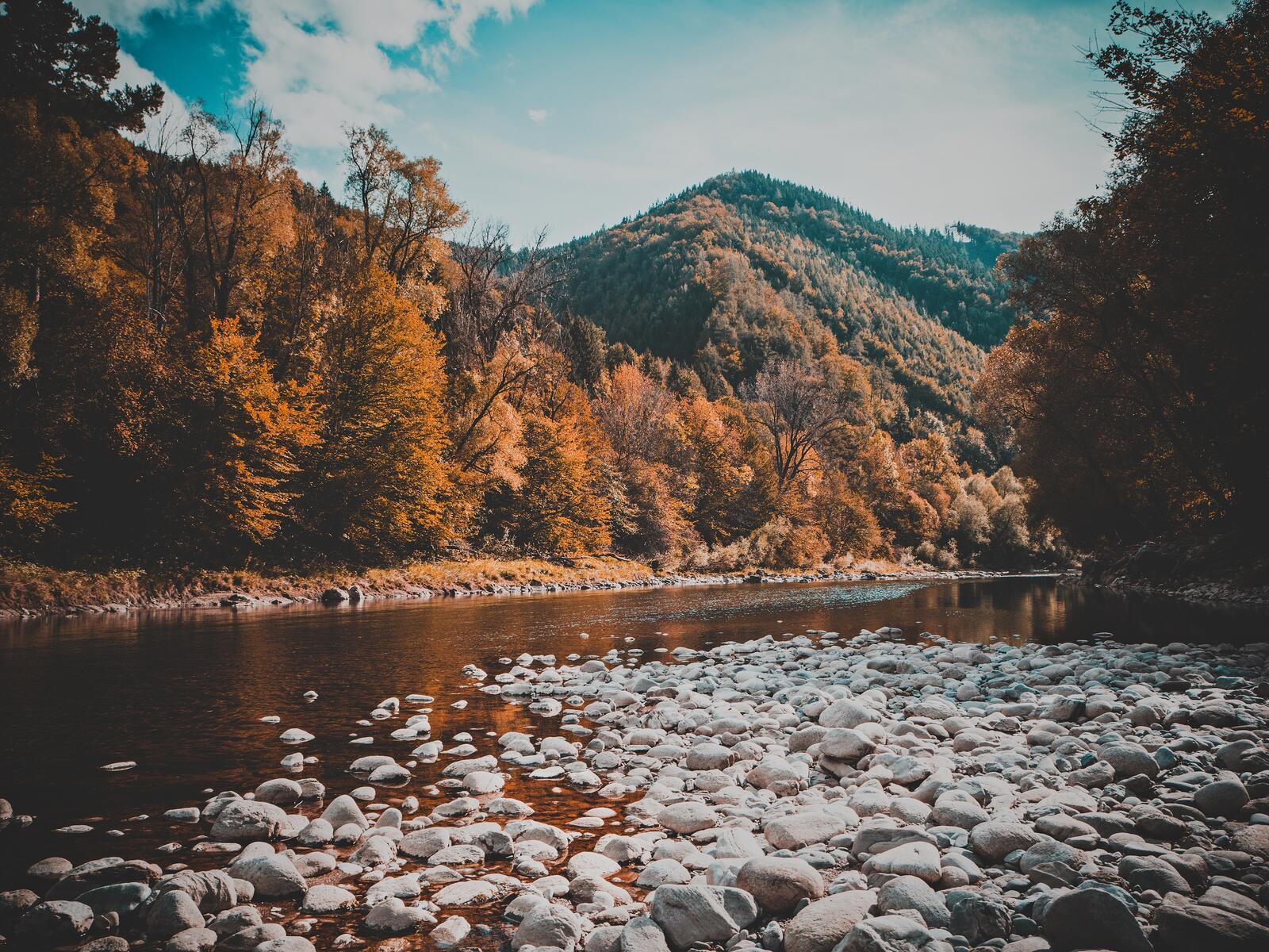 Free photo Autumn river bank in the mountains