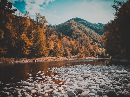 Autumn river bank in the mountains
