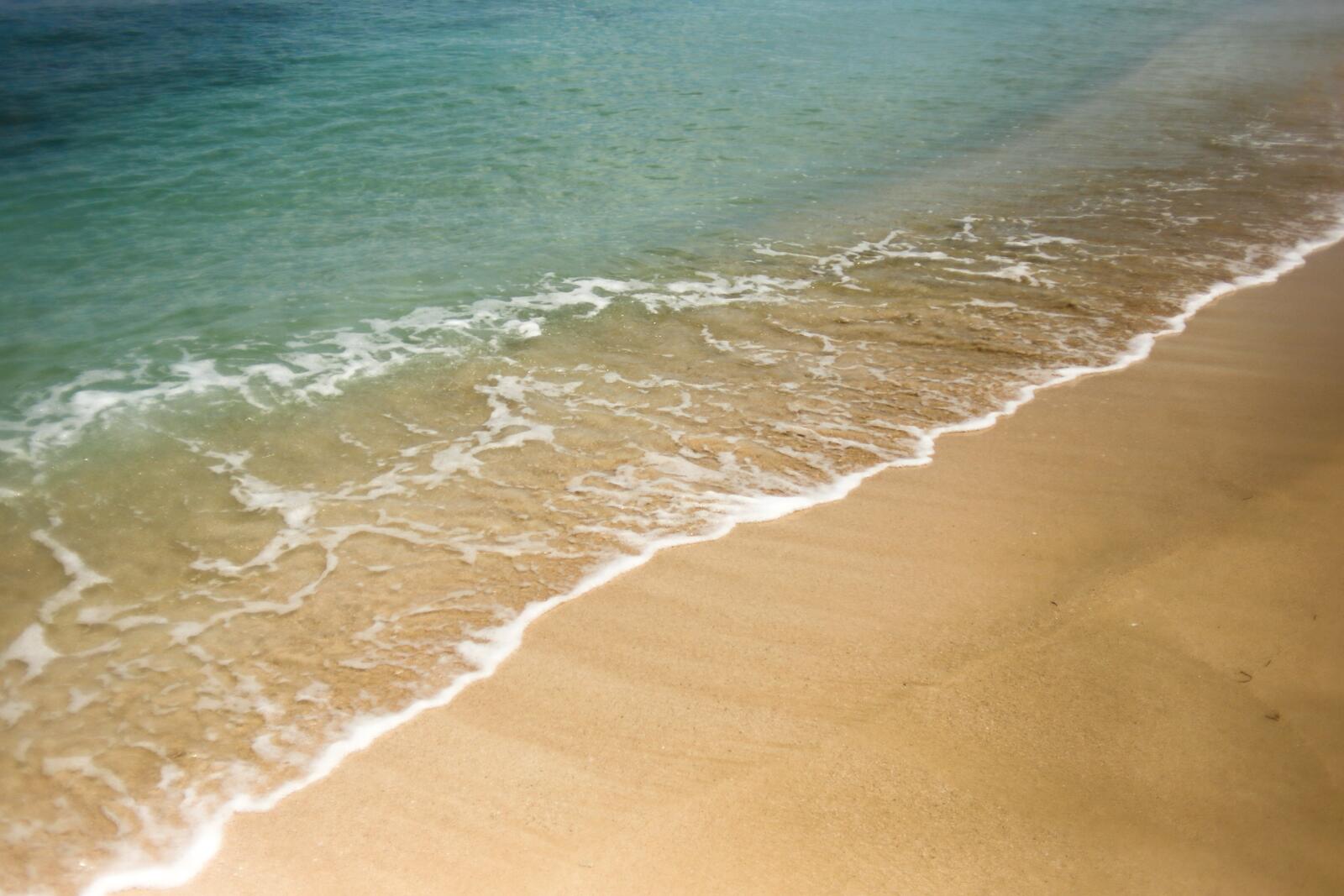 Бесплатное фото Песчаный берег моря с прозрачной водой