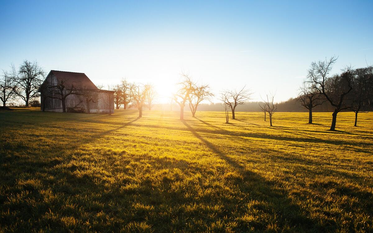 A barn in a field on a sunny afternoon