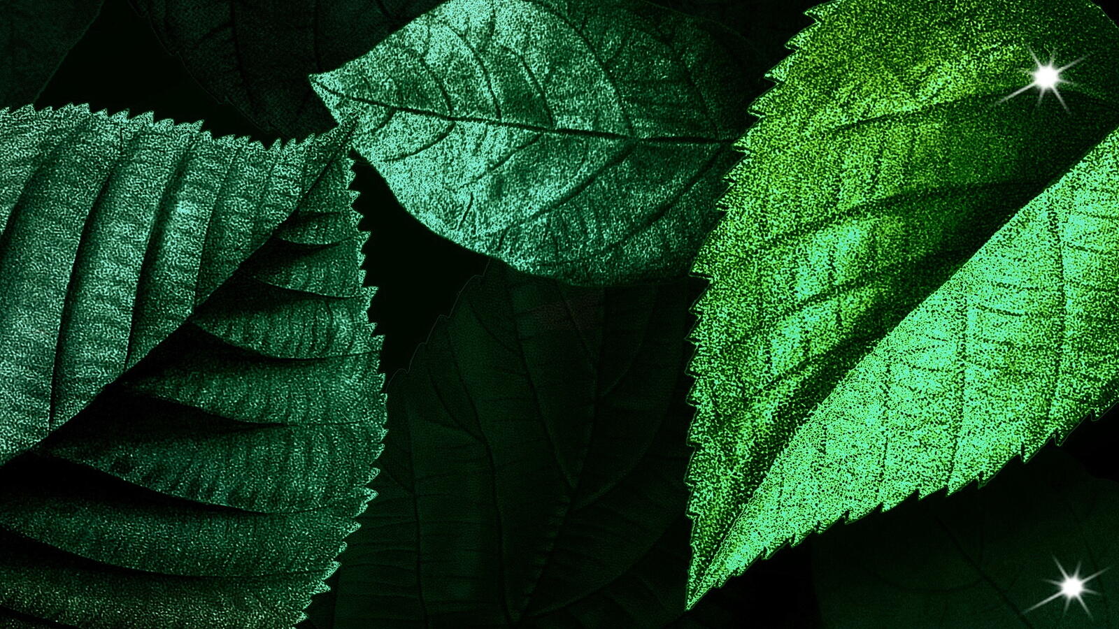 Free photo Drawing green leaves