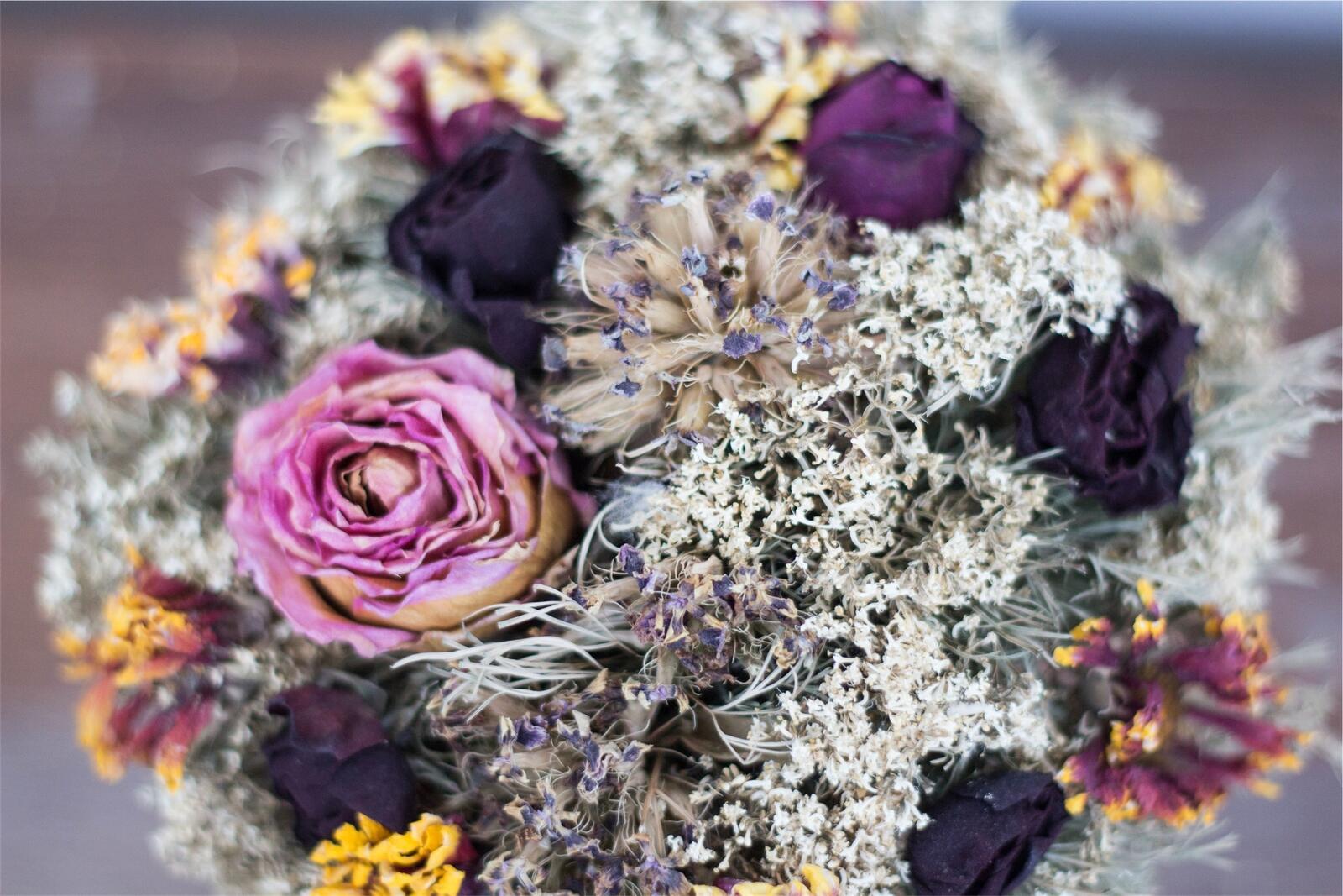 Free photo A bouquet of dried flowers