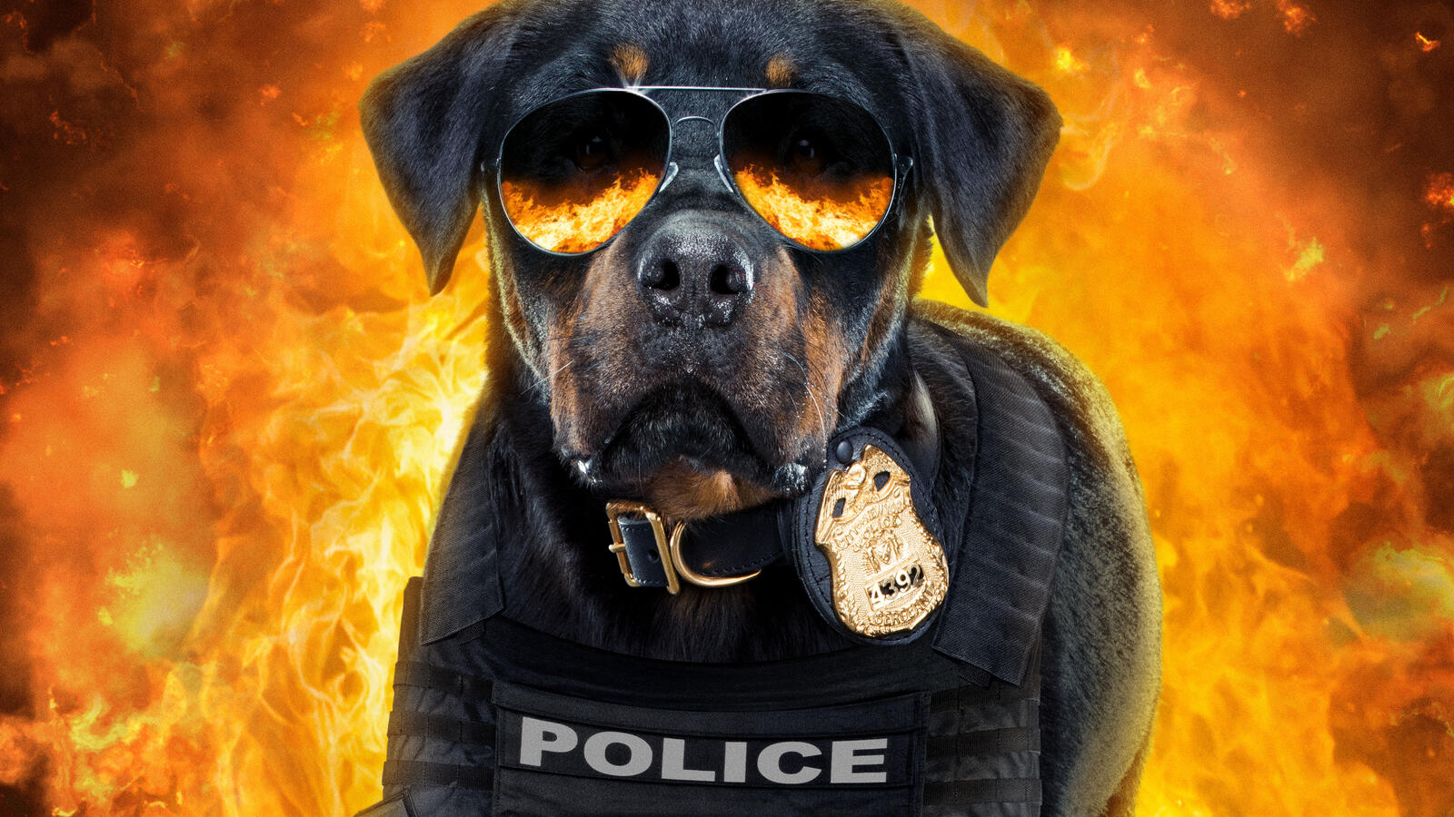 Бесплатное фото Полицейский пес
