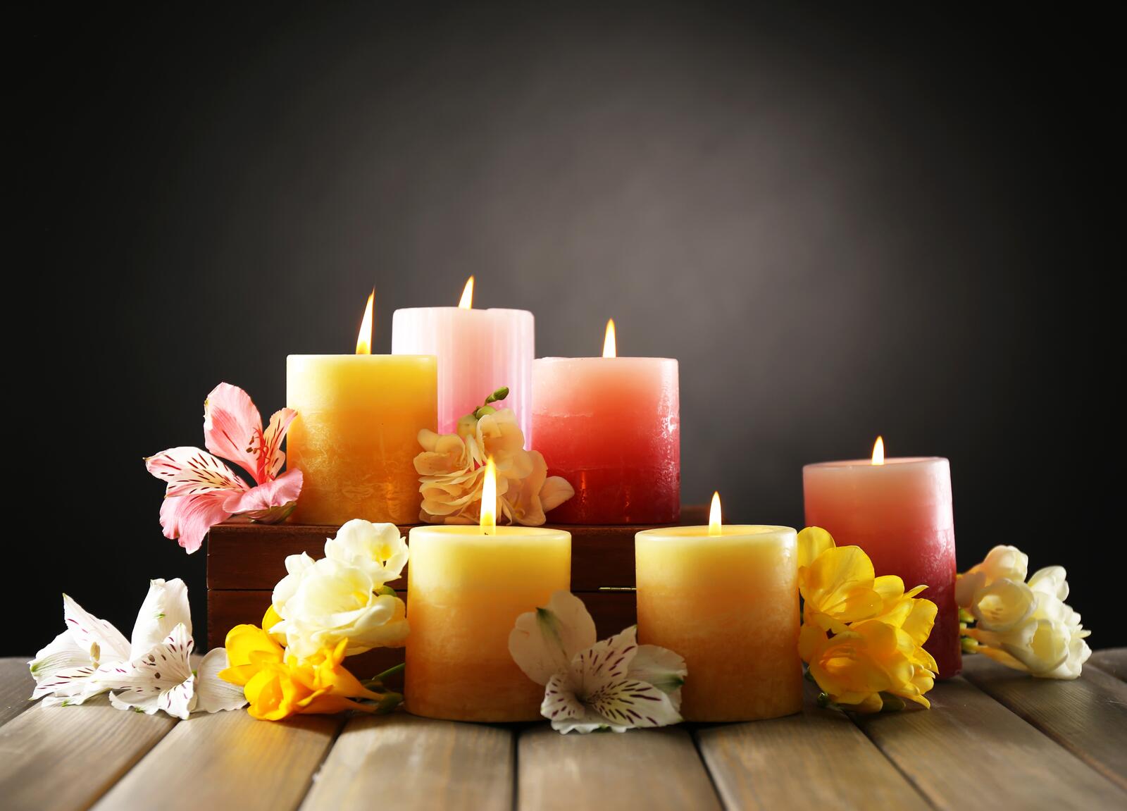 Wallpapers wallpaper candles flowers flames on the desktop