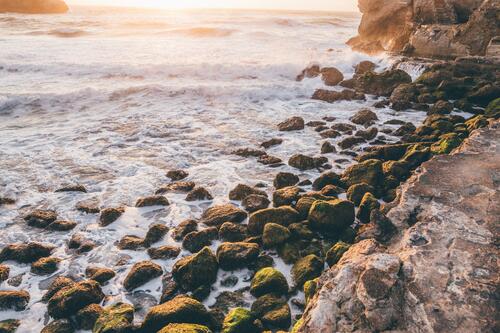 Круглые камни на берегу моря покрытые мхом