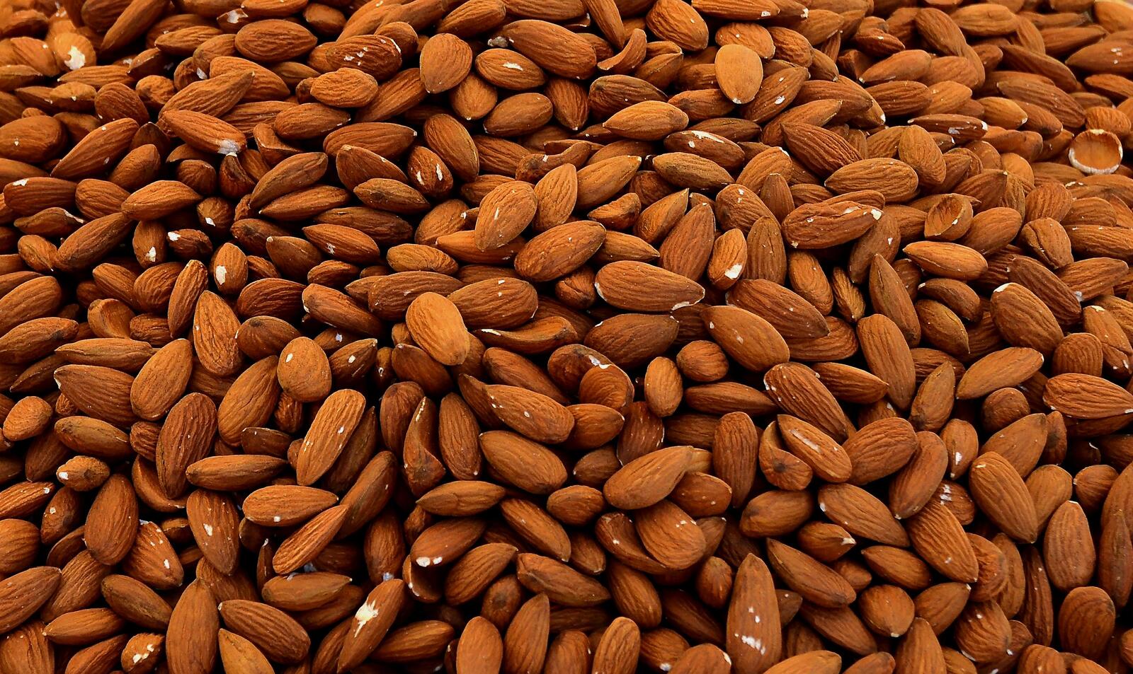 Free photo A large amount of almonds