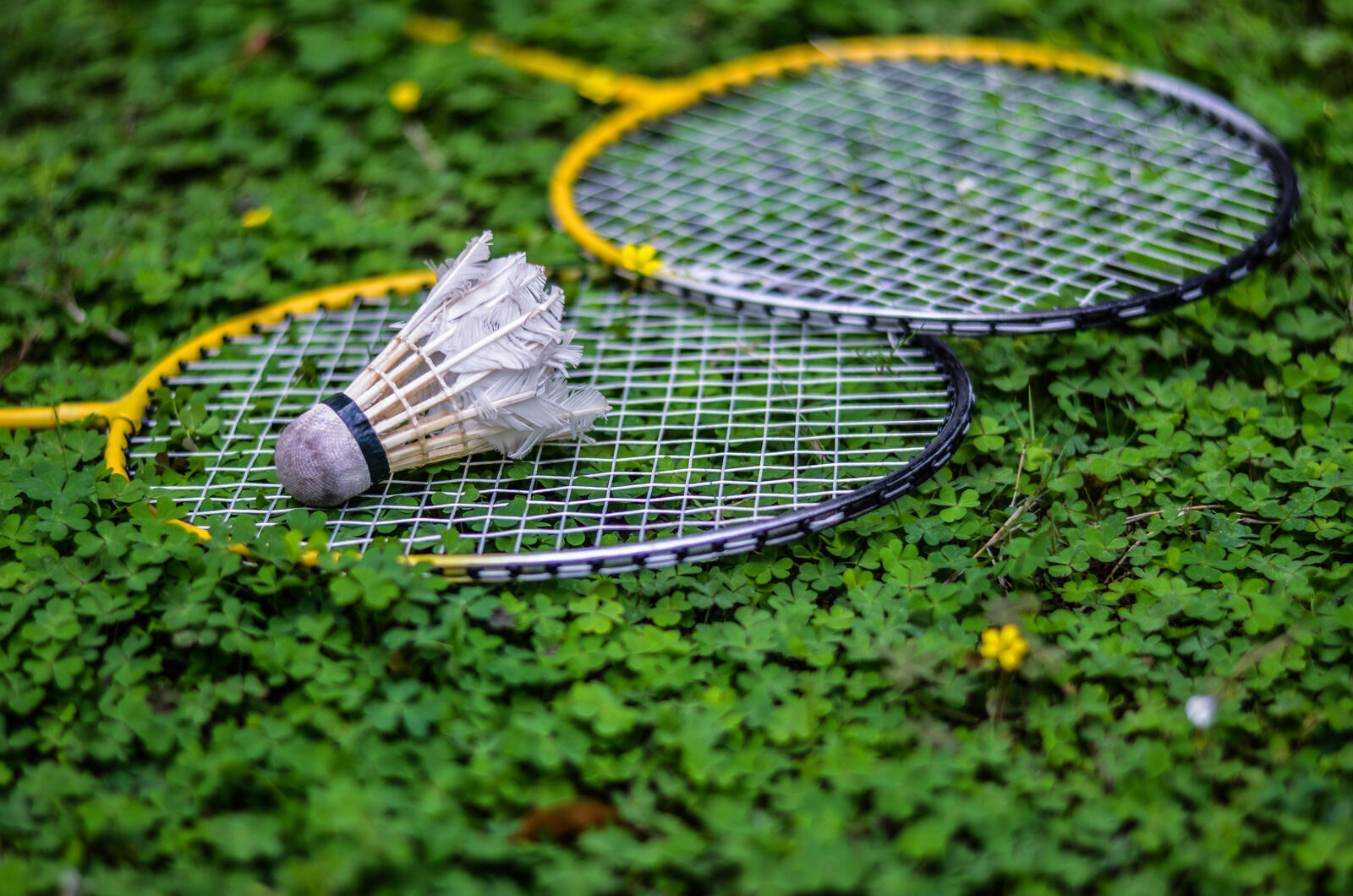 Бесплатное фото Теннисные ракетки