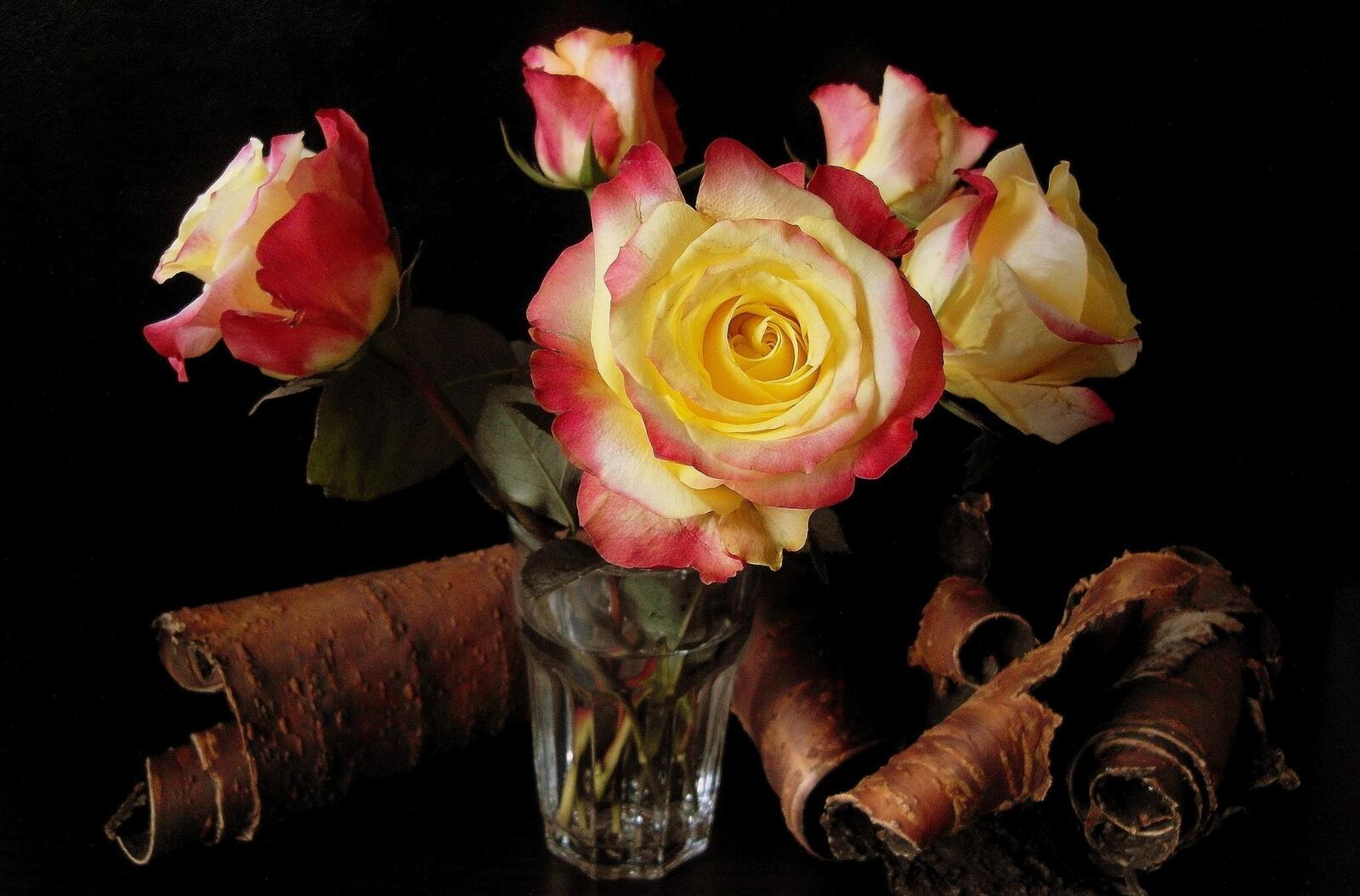Обои розы стекло кора на рабочий стол