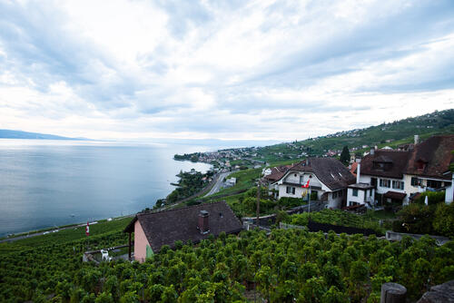 Coastal houses in Switzerland in overcast weather