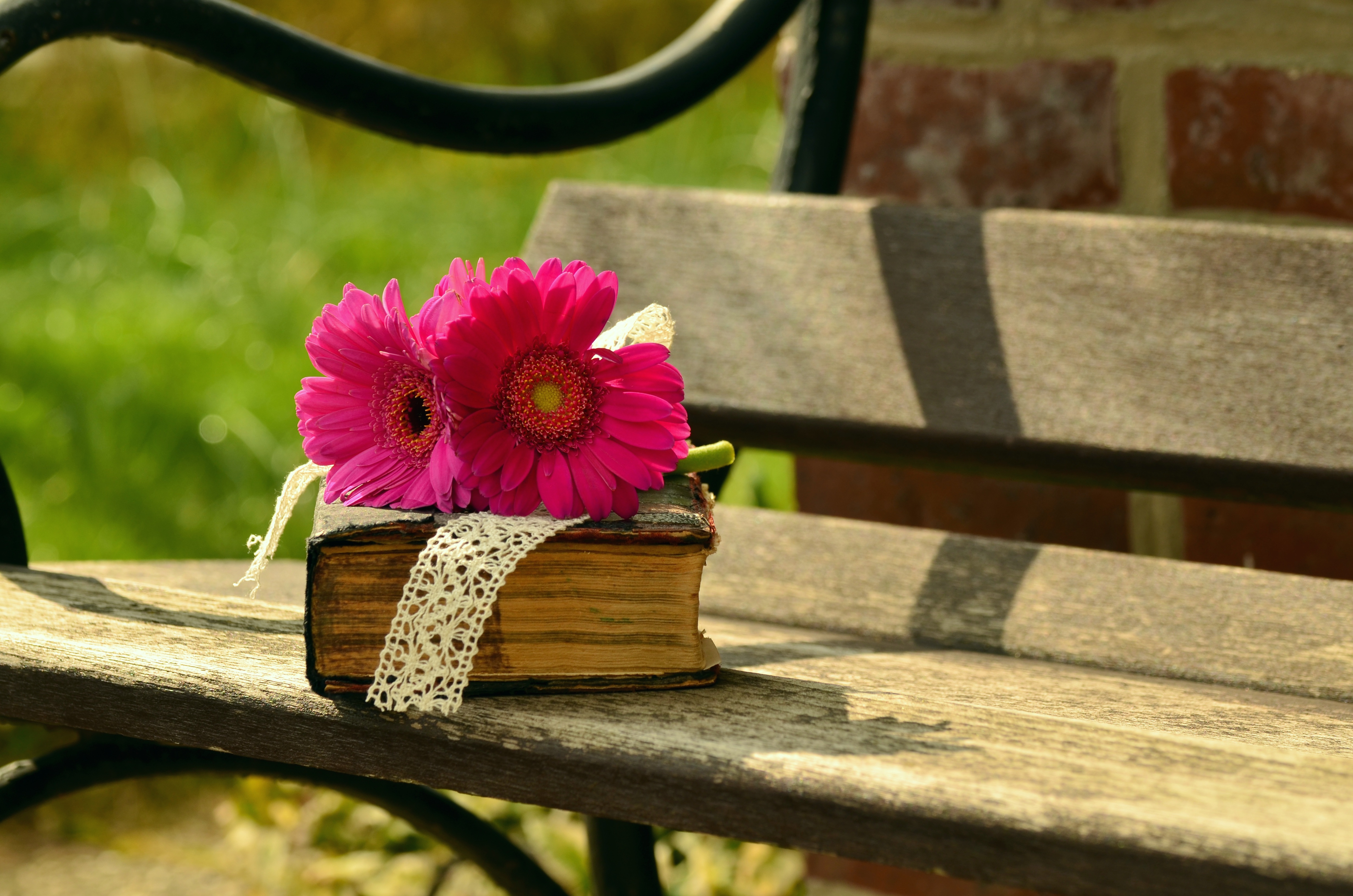 免费照片粉红色的花朵躺在一本古董书上