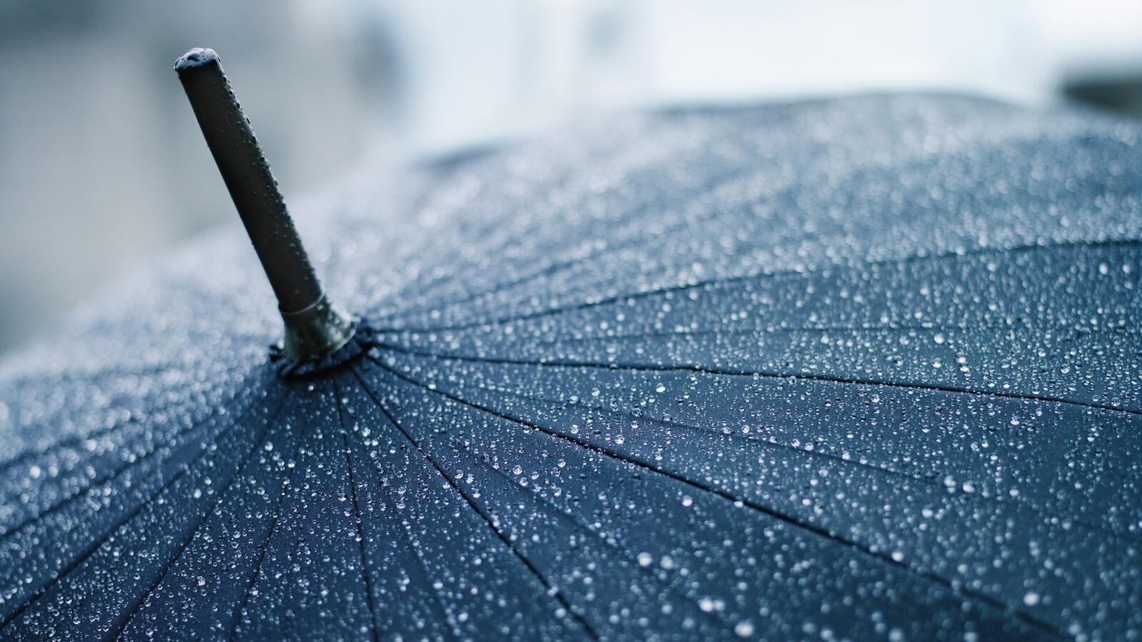 Обои зонтик дождь капли на рабочий стол