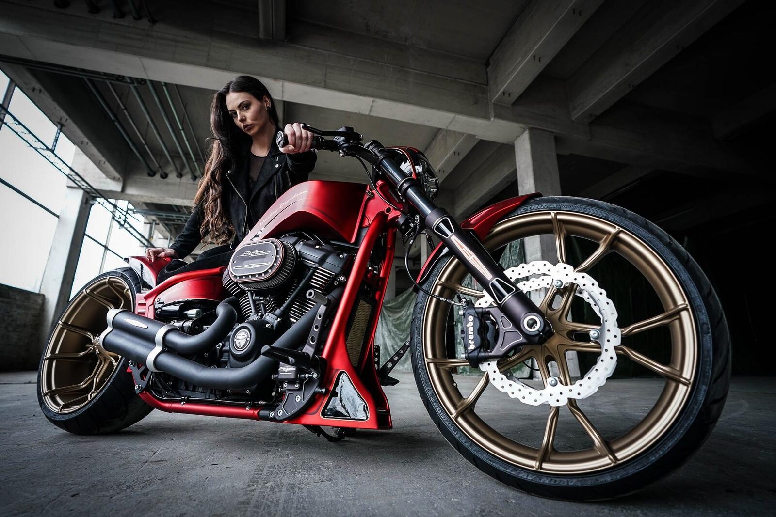 Бесплатное фото Девушка на Harley Davidson customs