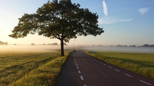 A paved road through a foggy field