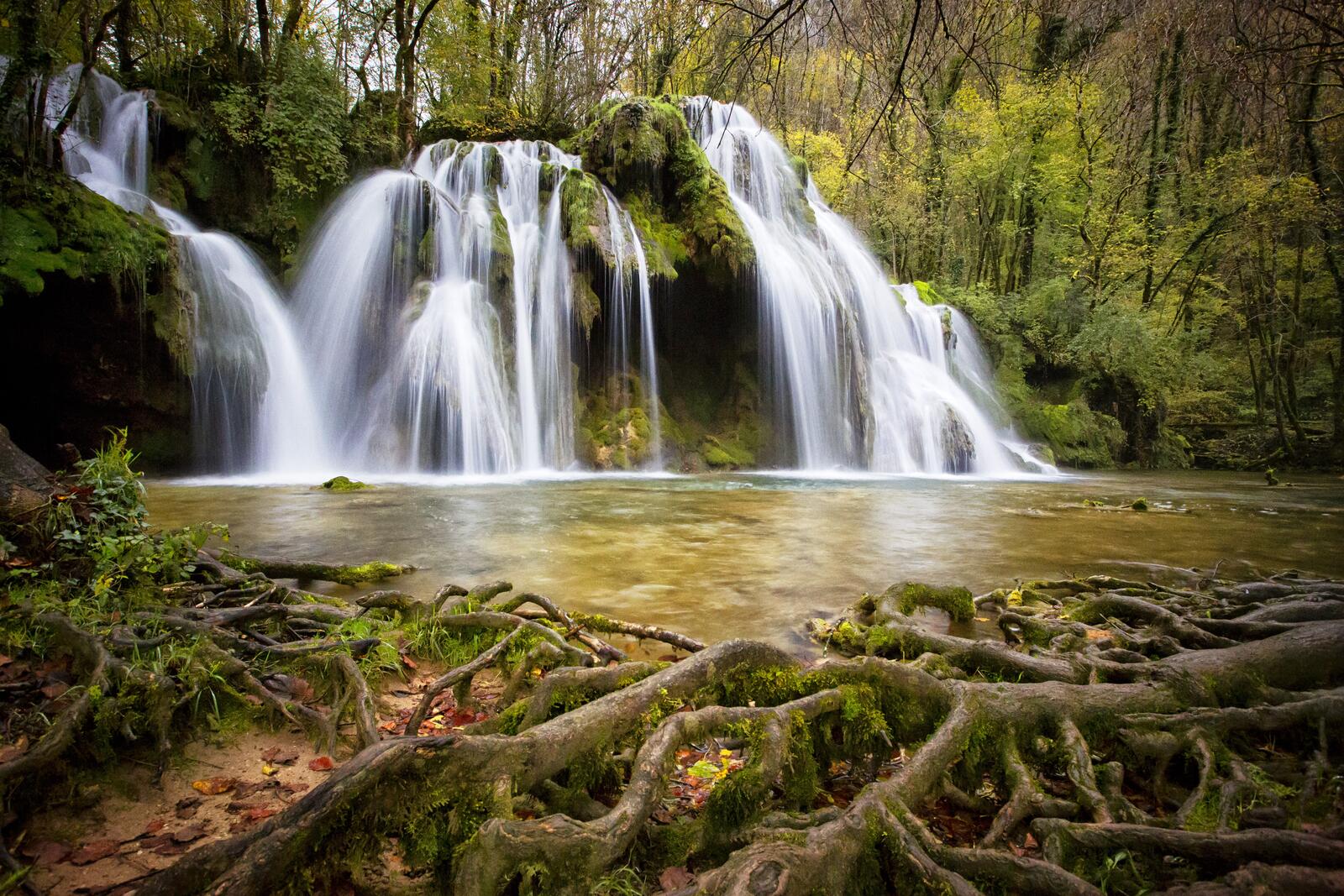 Бесплатное фото Водопад в лесу окруженный мхом