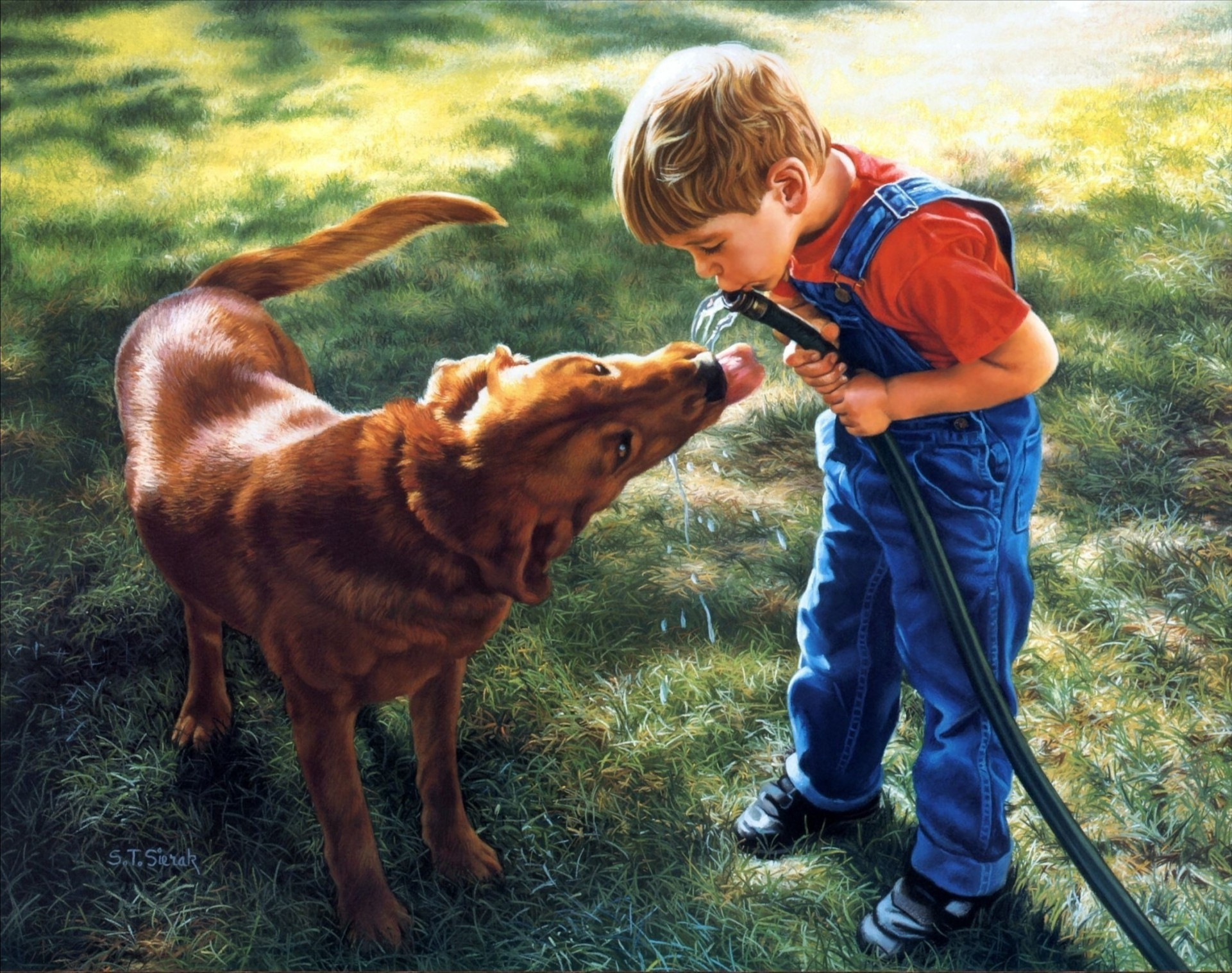 Фото бесплатно собака, мальчик, шланг