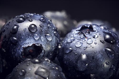 A wallpaper of washed blueberries
