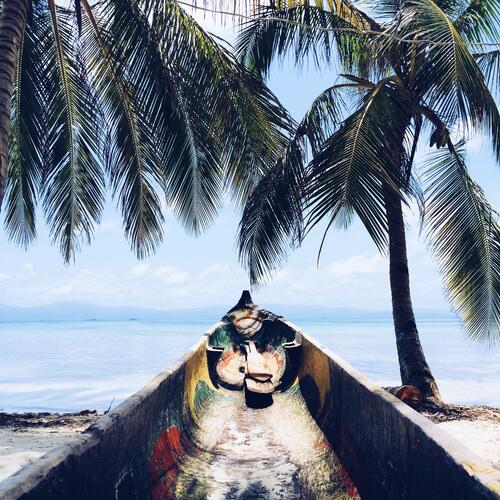 在长满棕榈树的沙滩上划独木舟
