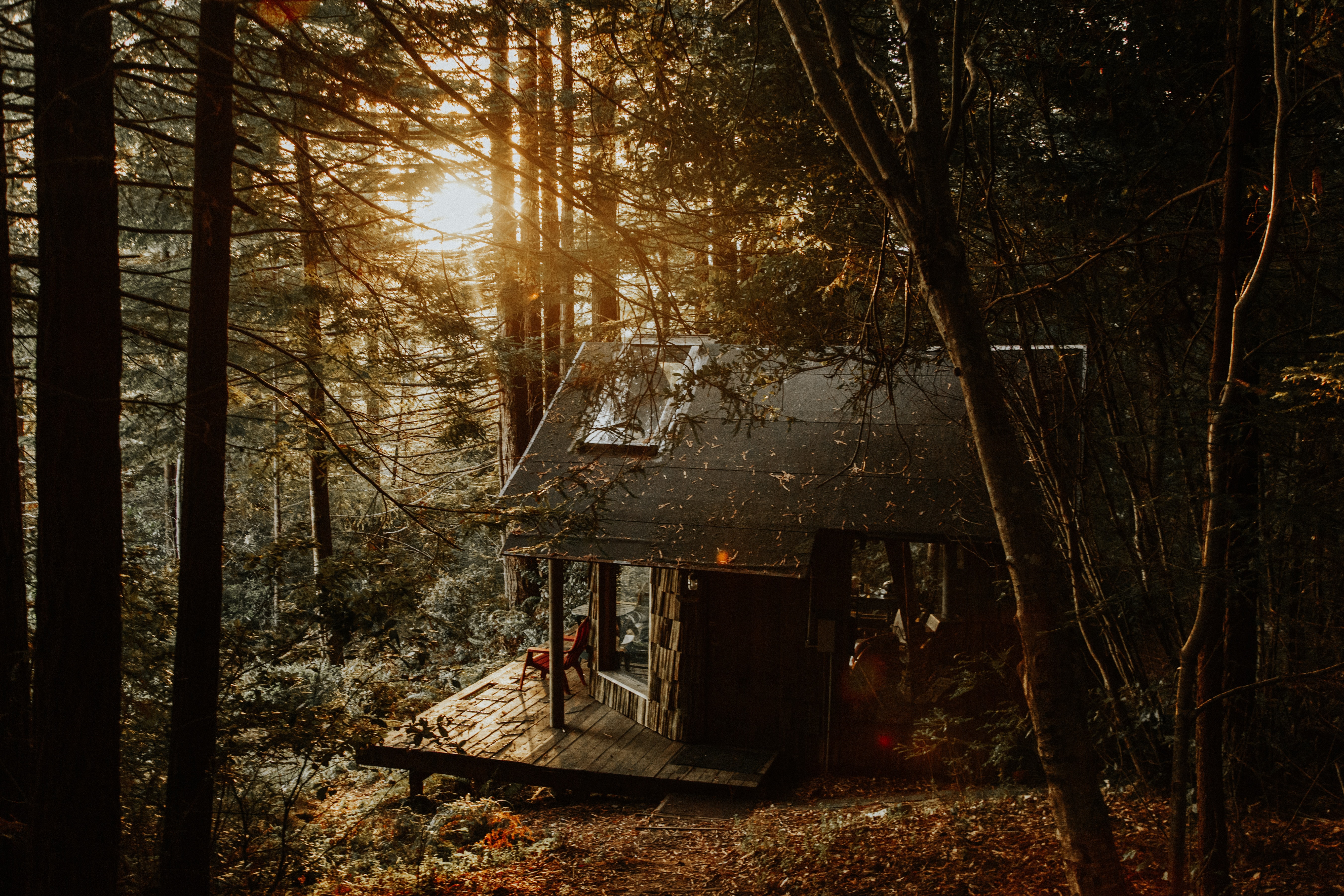 Free photo A ranger`s house in the woods