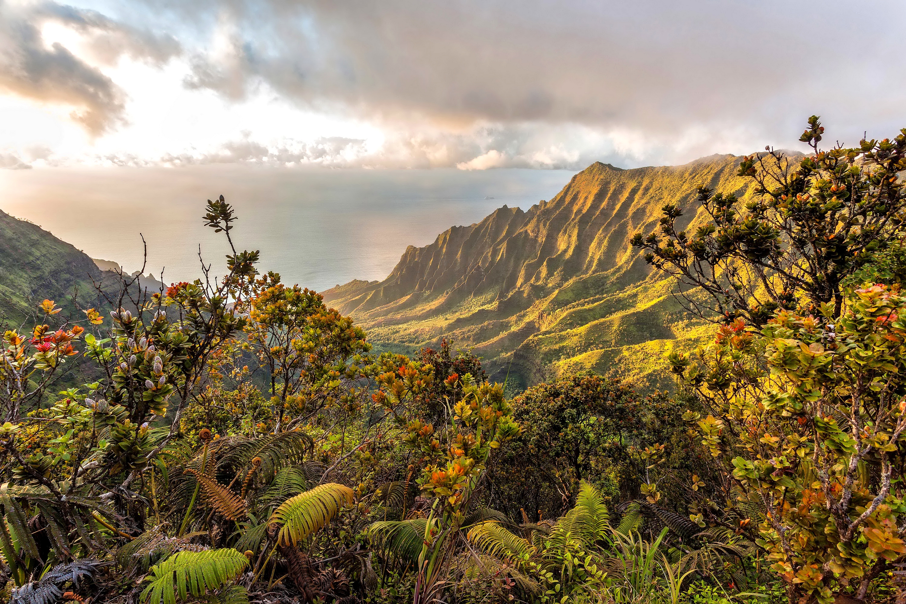 Фото бесплатно обои Гавайи, горы, океан