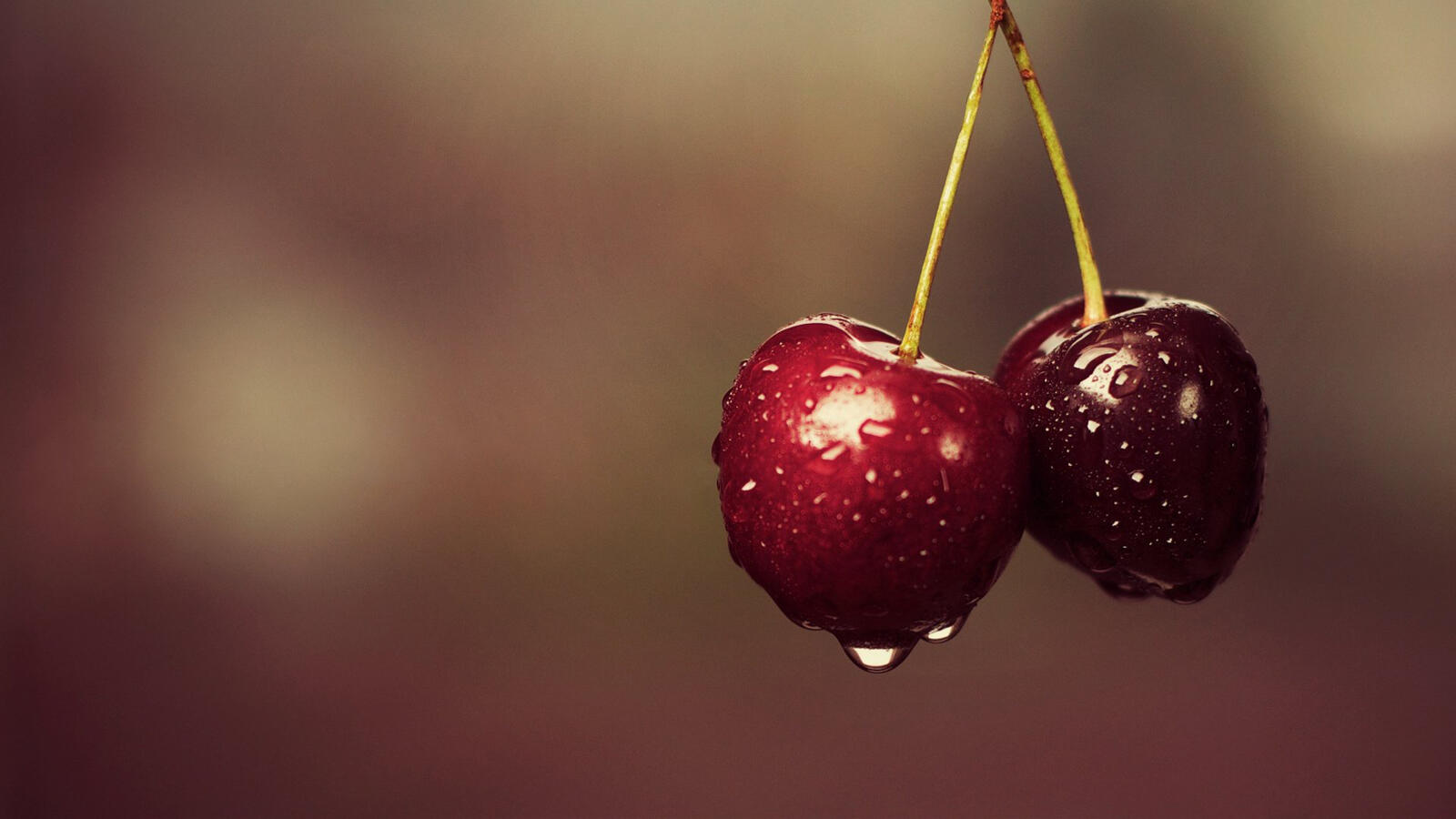 Free photo Two ripe cherries with raindrops