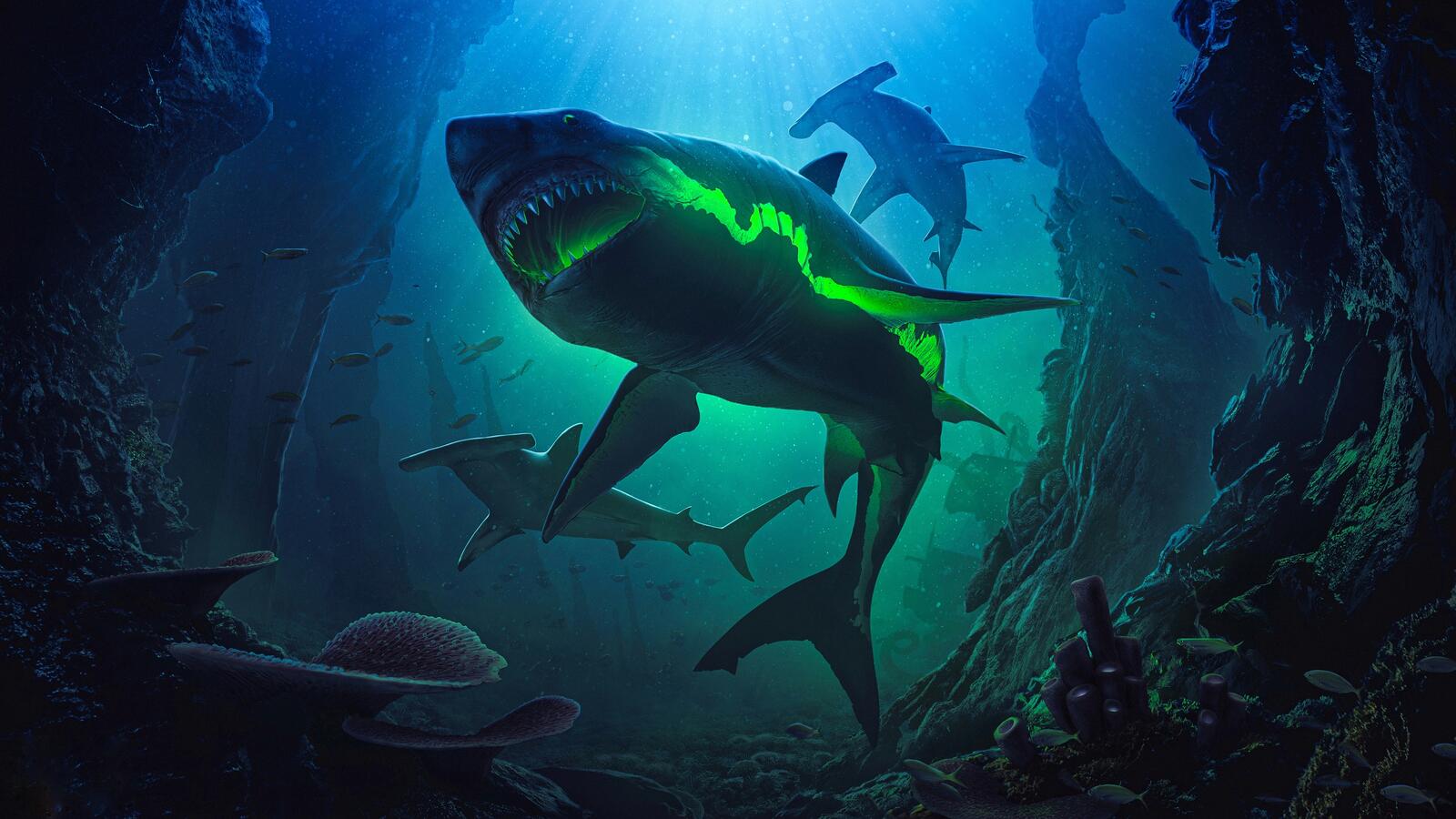 Wallpapers fantasy shark art on the desktop