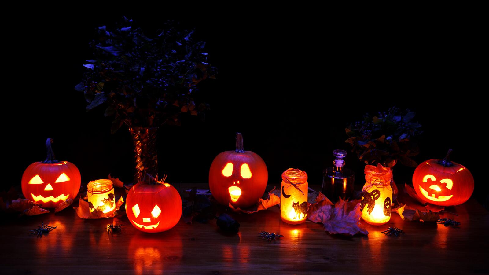 Free photo Pumpkins with surprised faces for Halloween