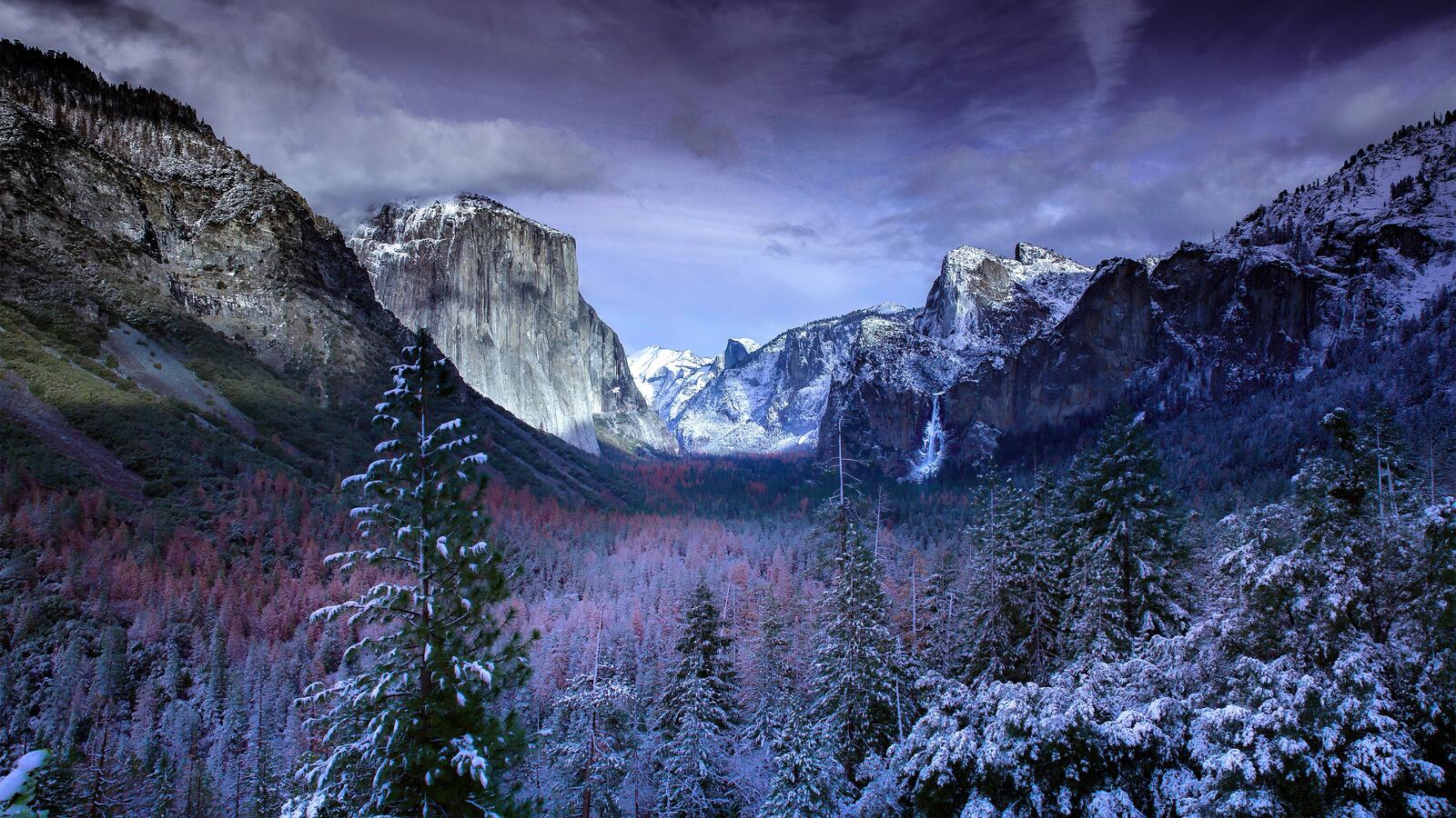 Бесплатное фото Ущелье с лесом в снегу в парке Йосемити США