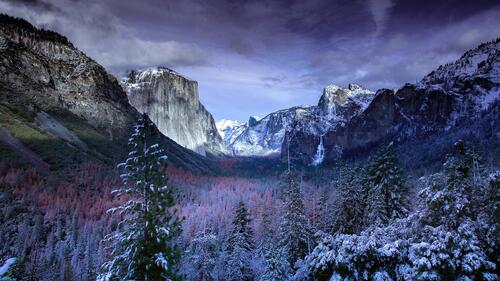 Gorge with a forest in the snow in Yosemite Park USA