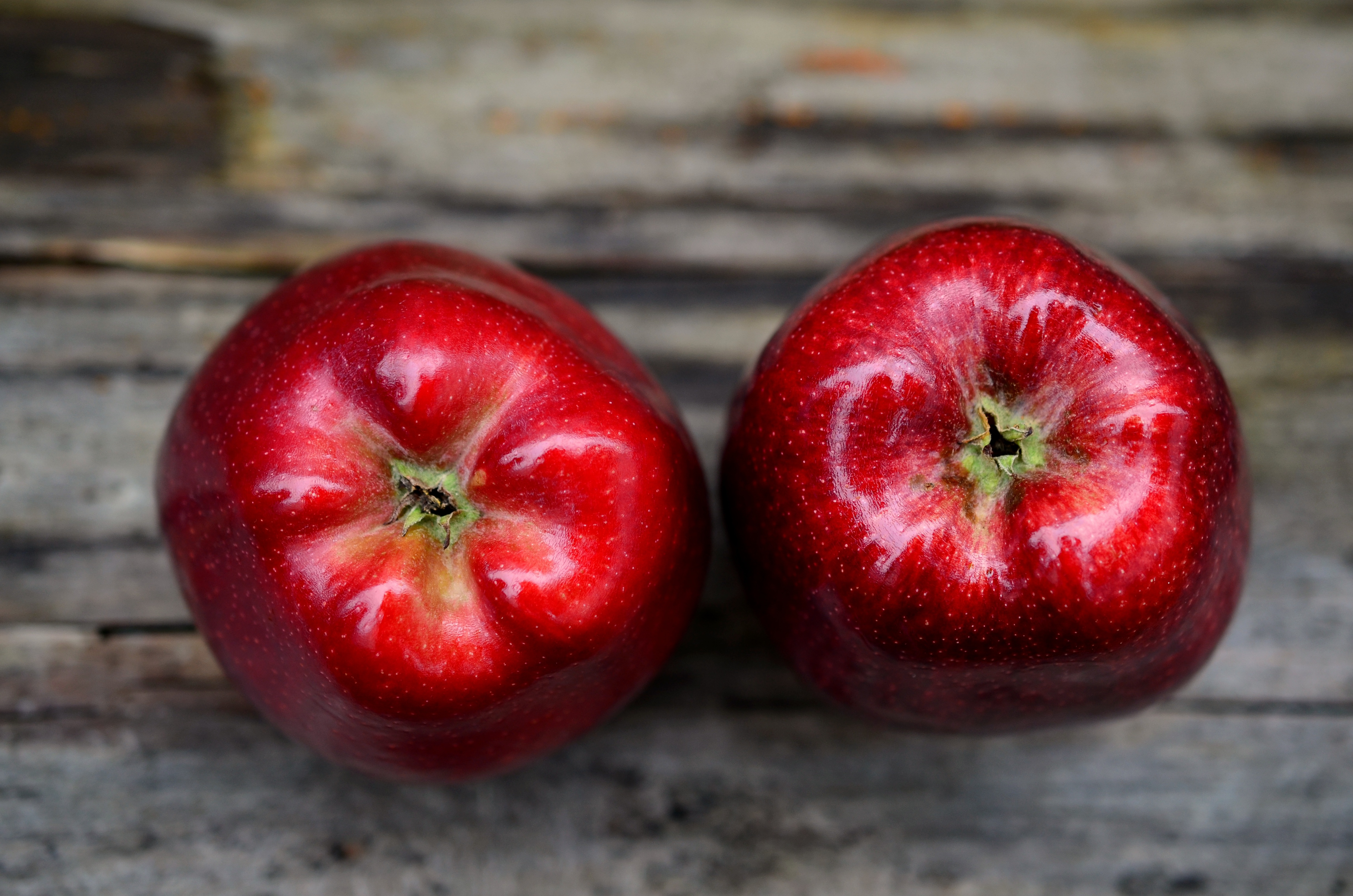 Бесплатное фото Спелые красные яблоки