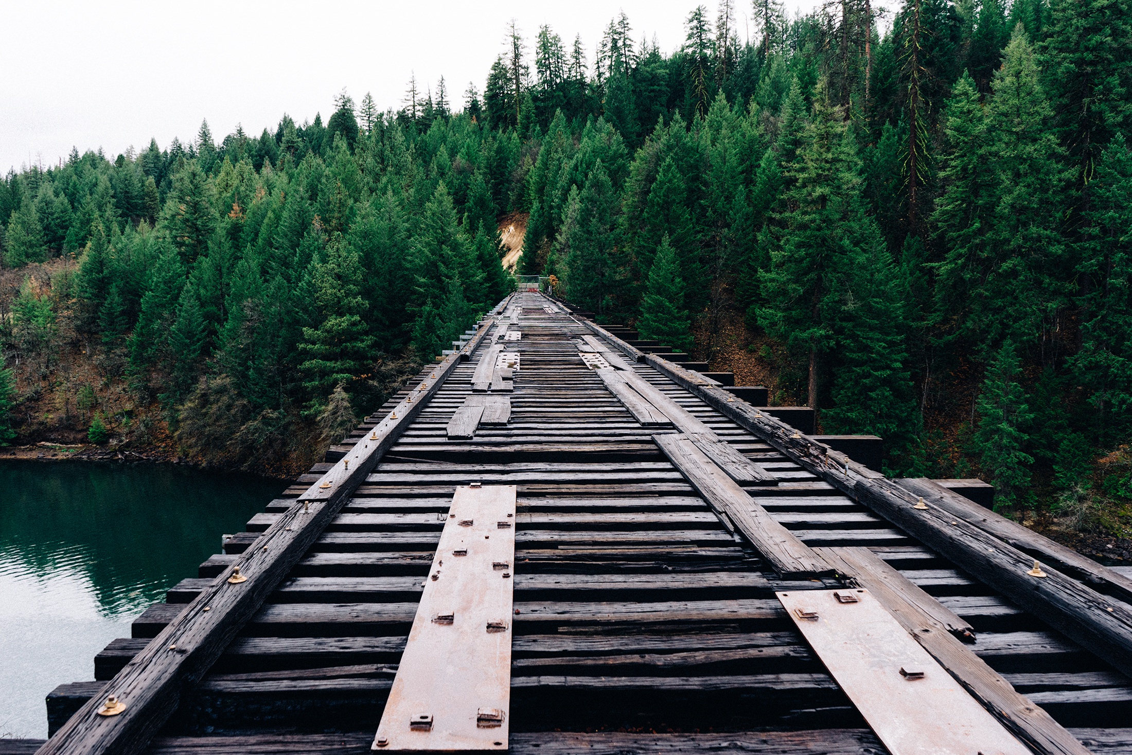 免费照片一座废弃的老桥通向河对面的森林