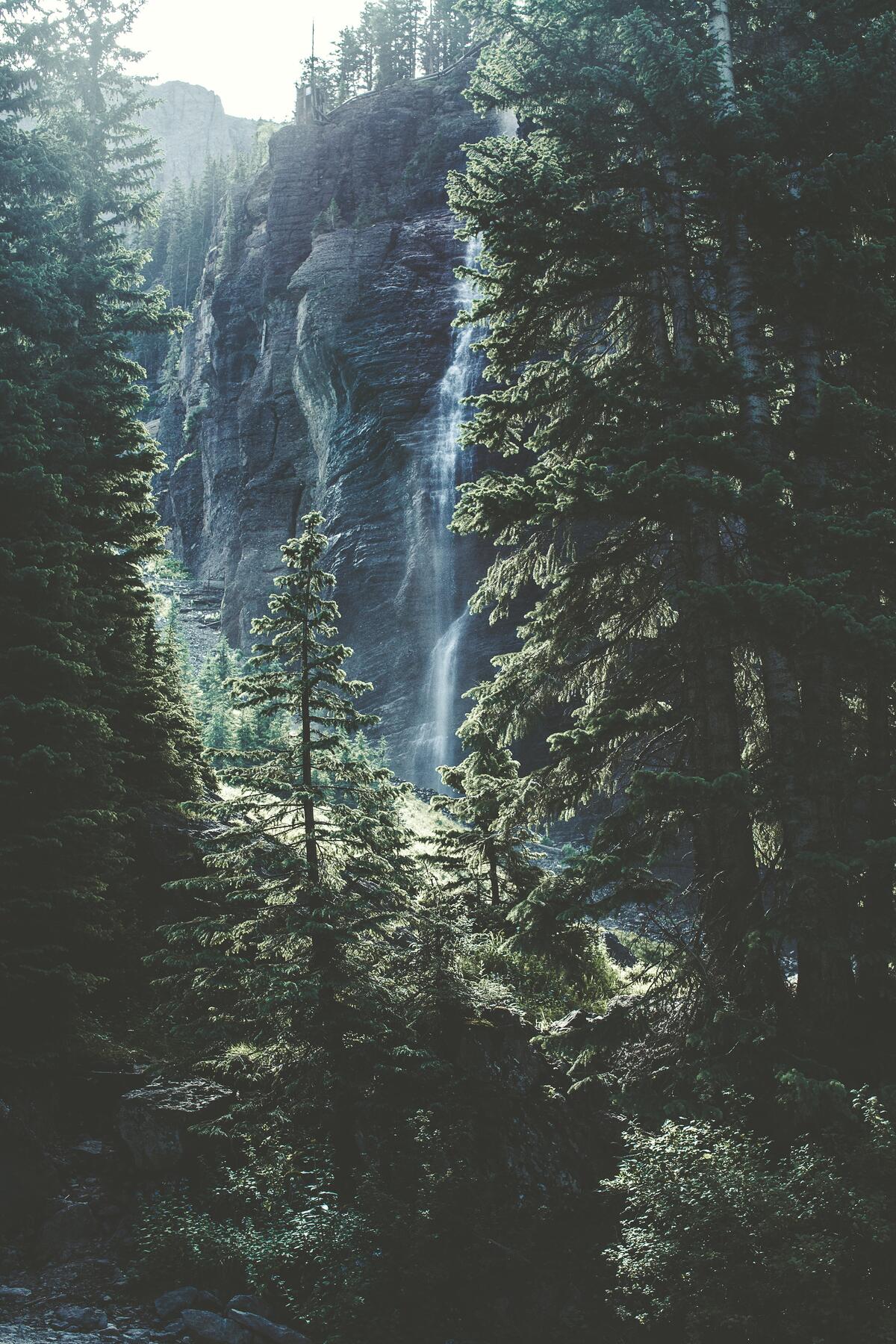 遥远的森林中的一个瀑布