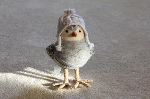 A toy bird in a cap