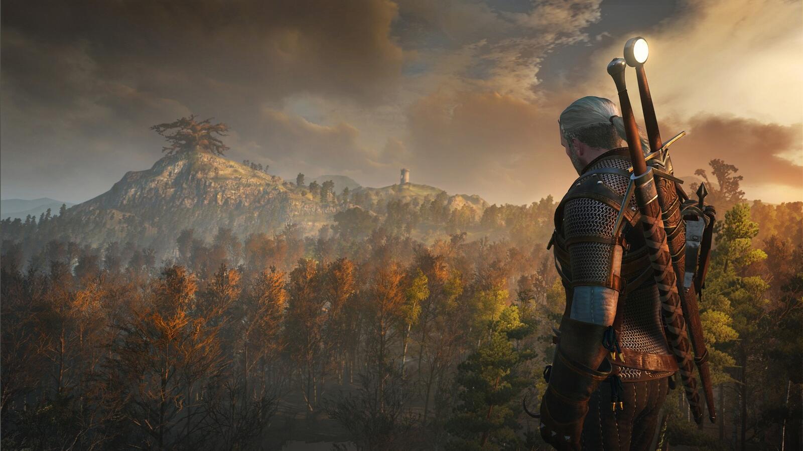 Wallpapers forest morning the witcher on the desktop