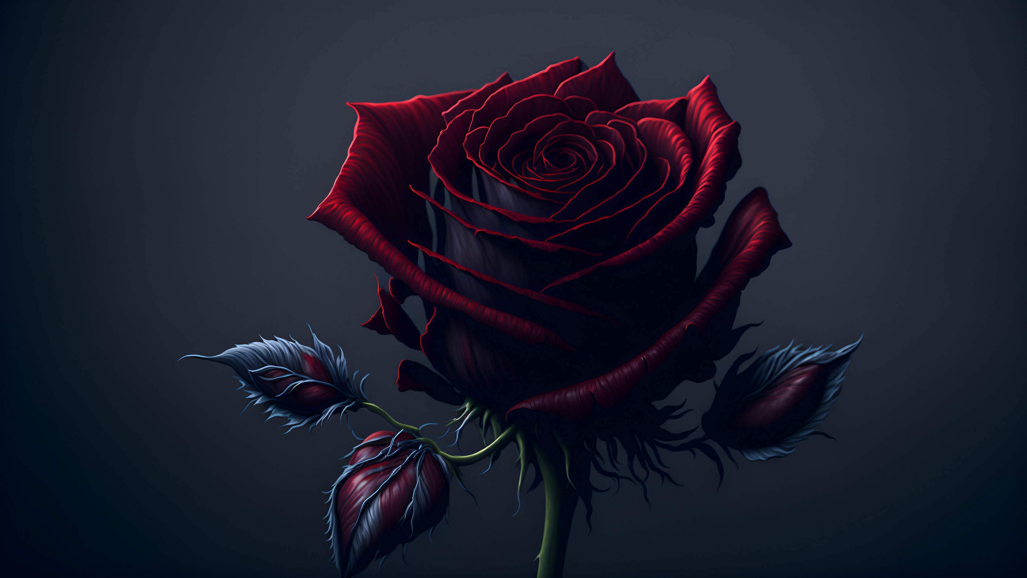 Free photo Black rose with red glow