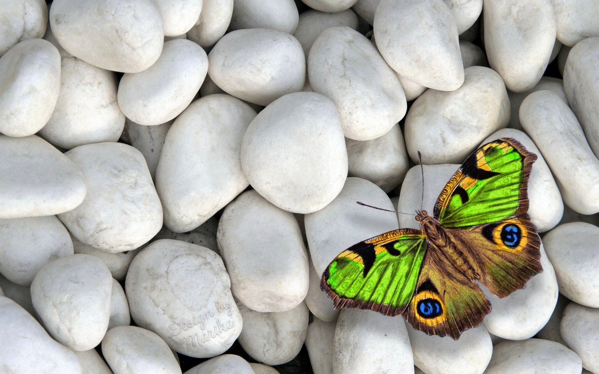 Free photo A butterfly with green wings on white pebbles.