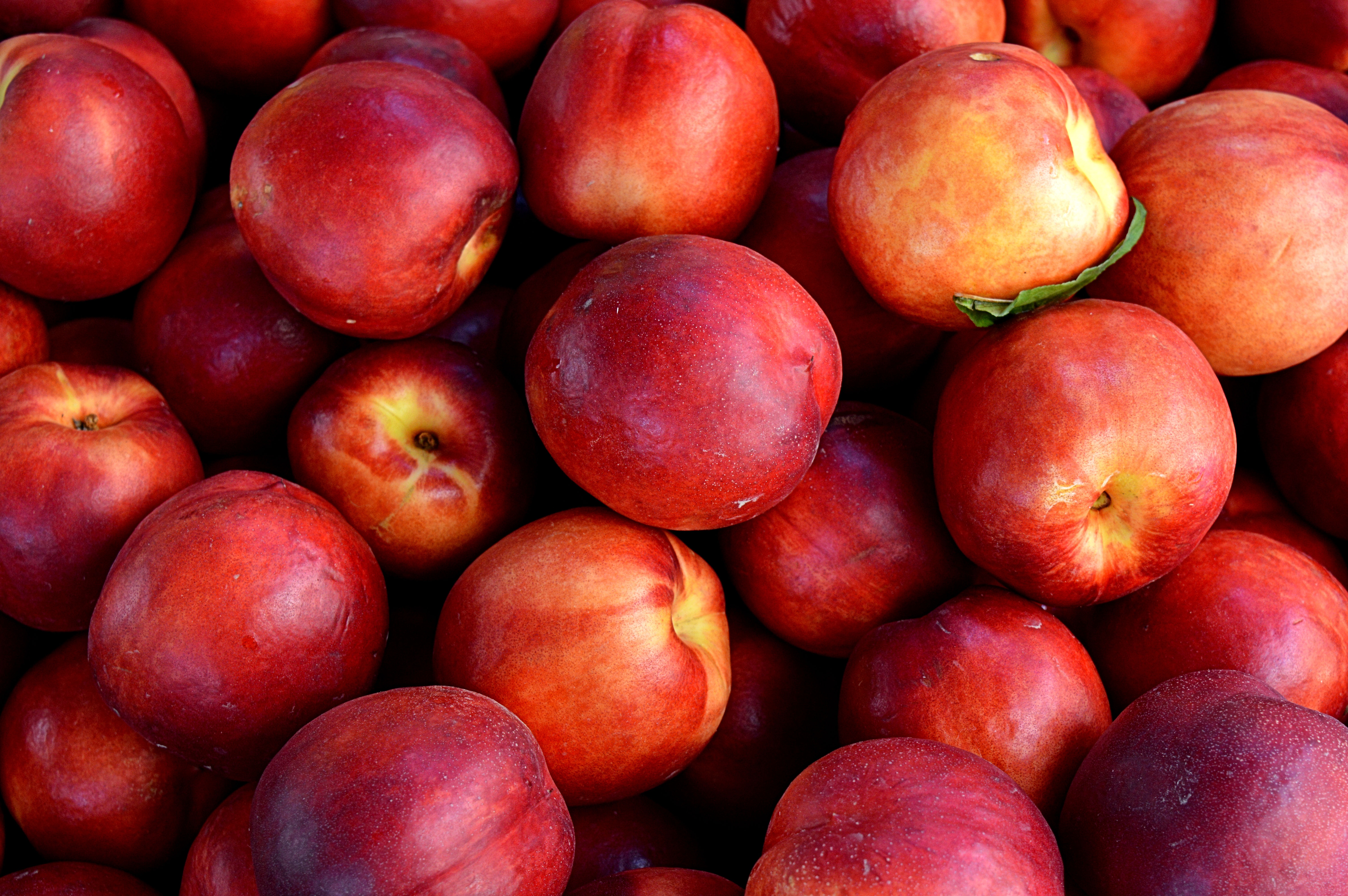Ripe peaches in the color red
