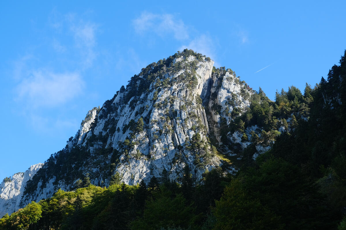 The peak of a large mountain with trees