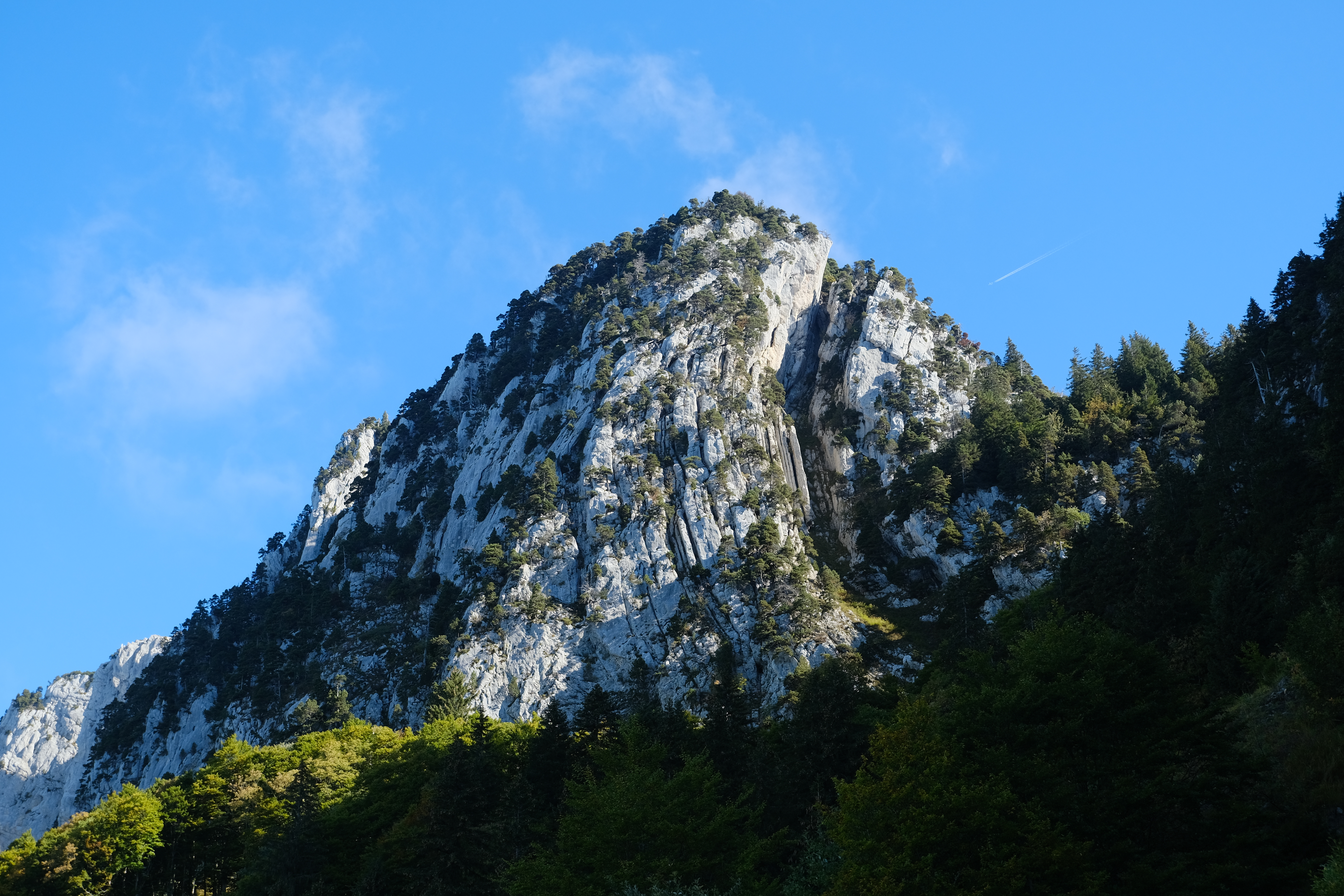 Бесплатное фото Пик большой горы с деревьями