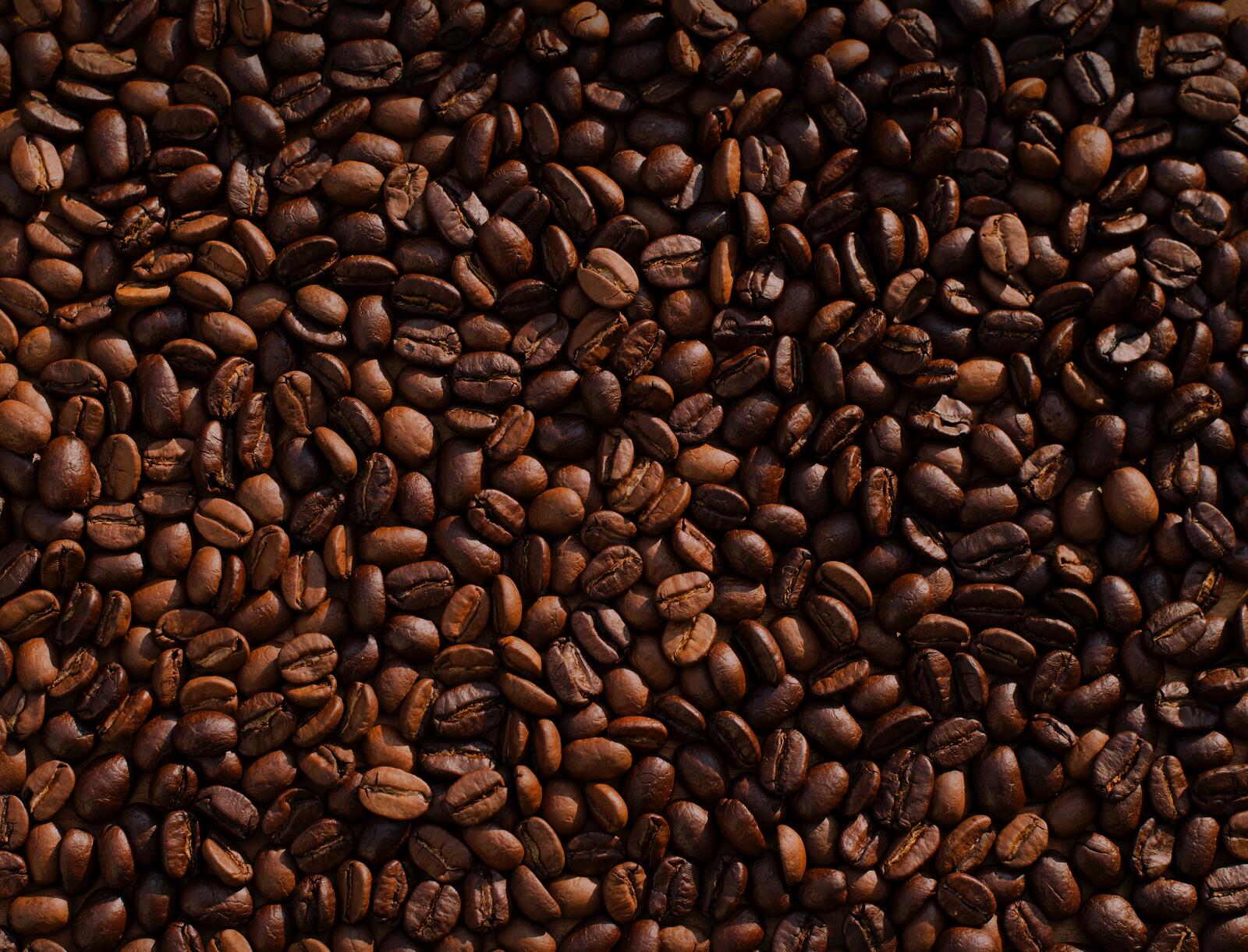 Бесплатное фото Текстура из кофейных зерен
