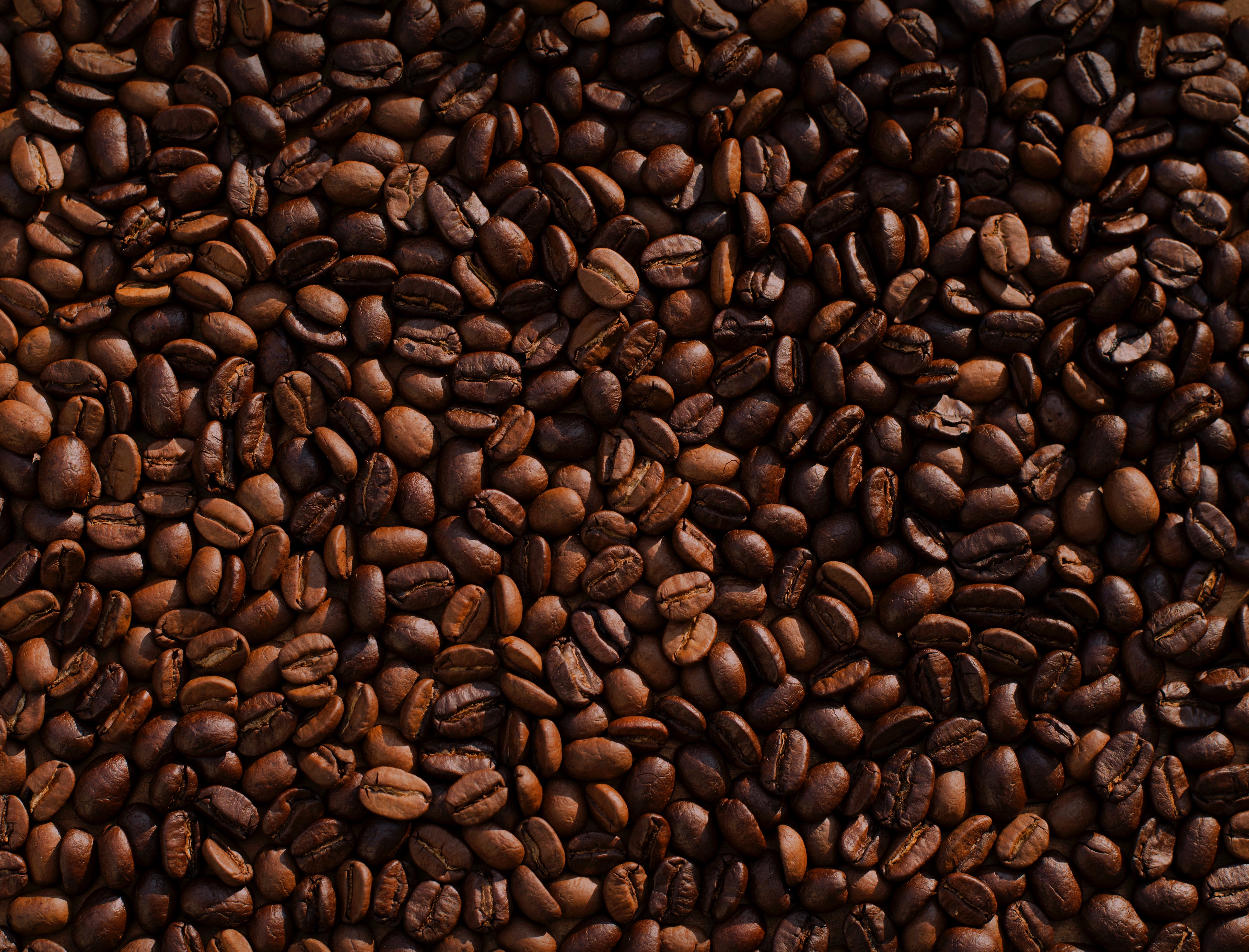免费照片咖啡豆的质地