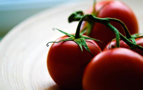 A picture of red tomatoes