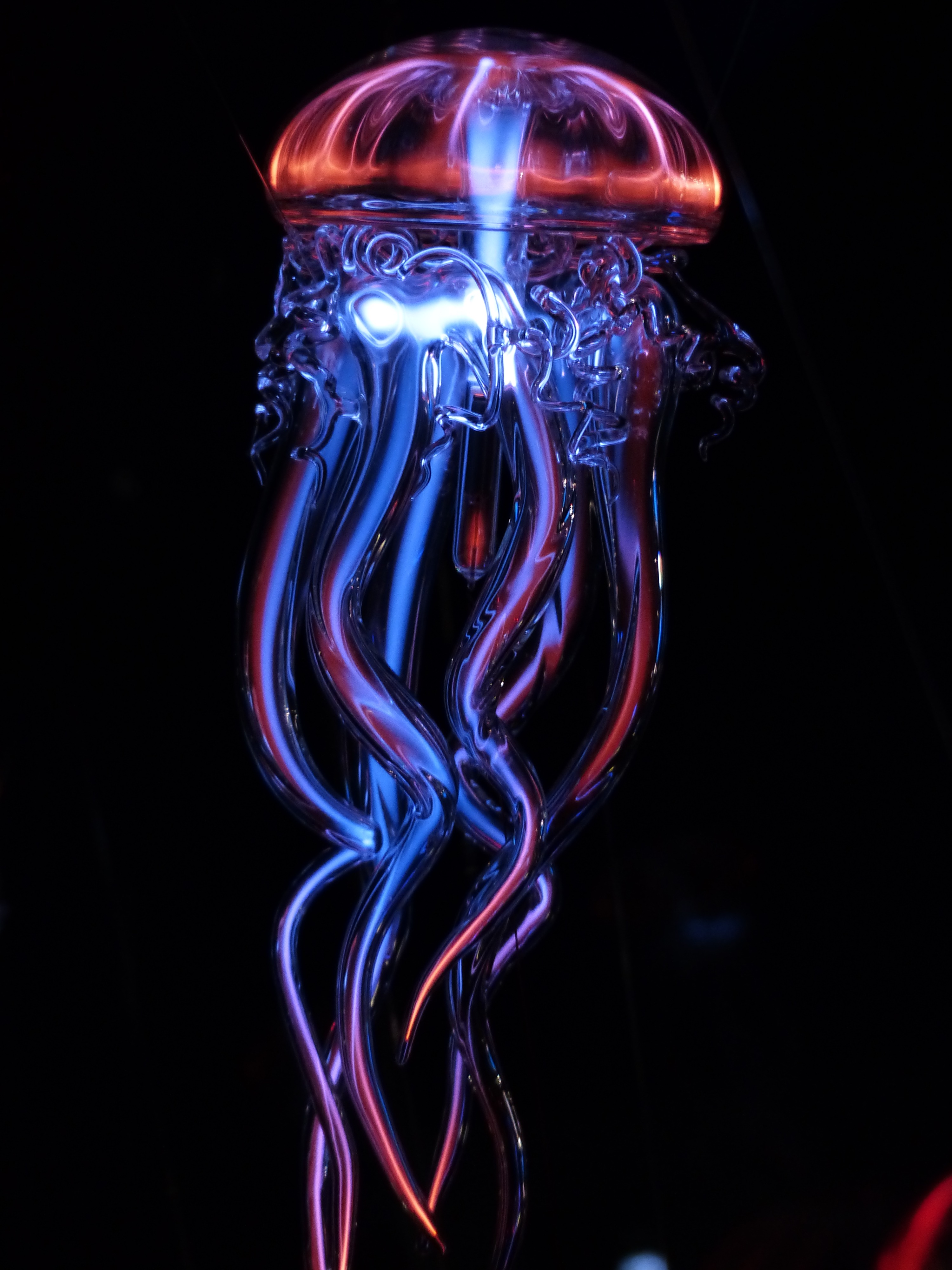 Фото бесплатно свет, оранжевый, медузы