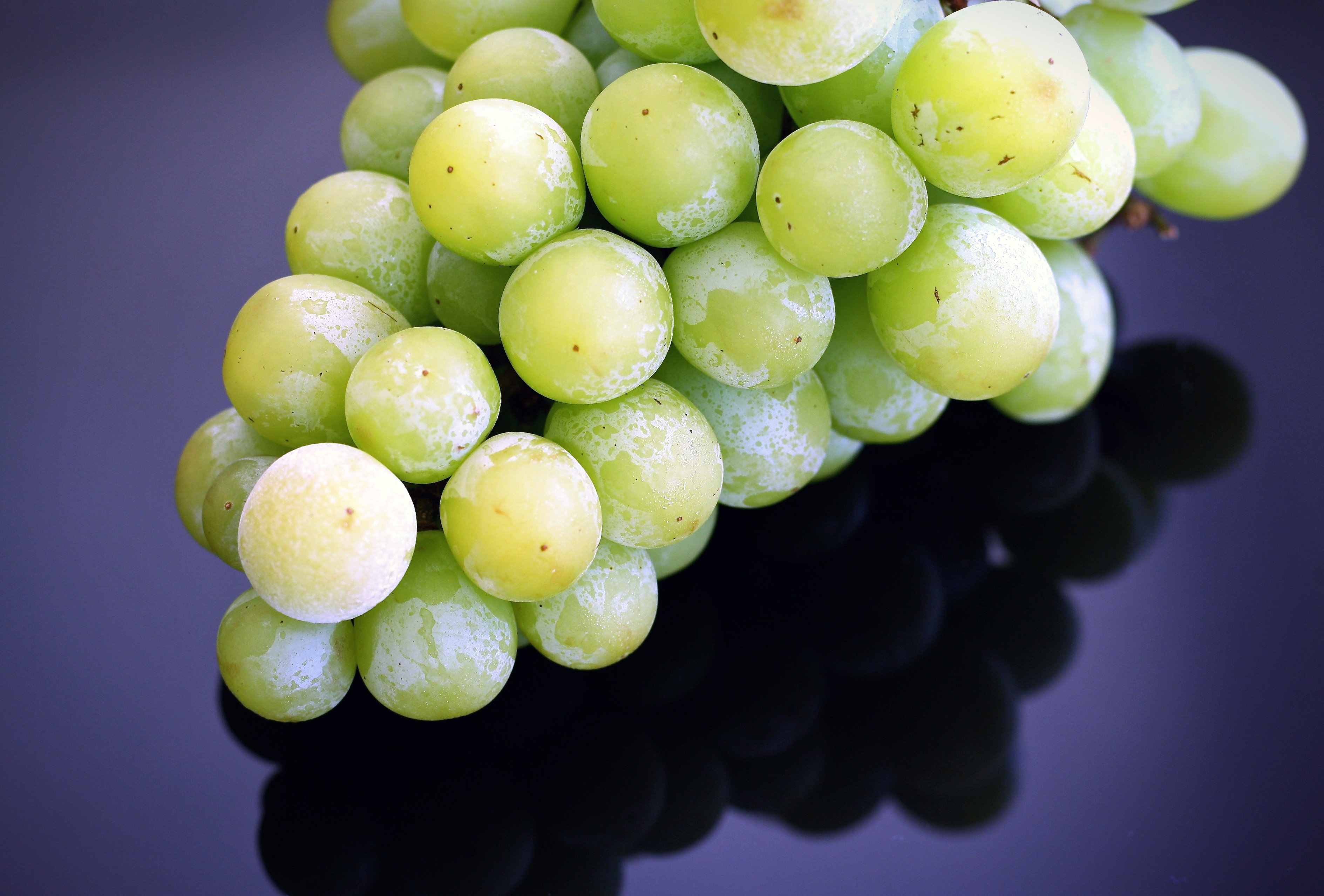 Wallpapers plant grapes fruits on the desktop