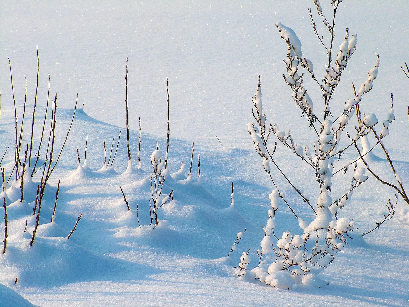 Бесплатное фото Зимние сугробы в морозный день