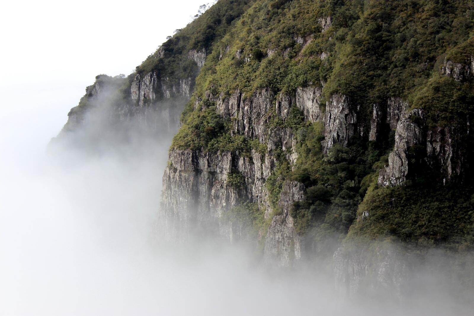 Бесплатное фото Тунам у обрыва горы