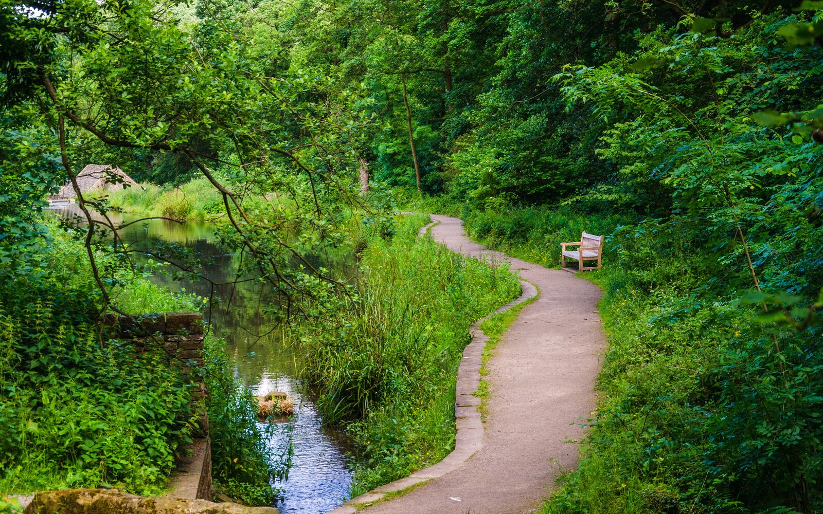 Free photo A park bench near a stream with a bridge
