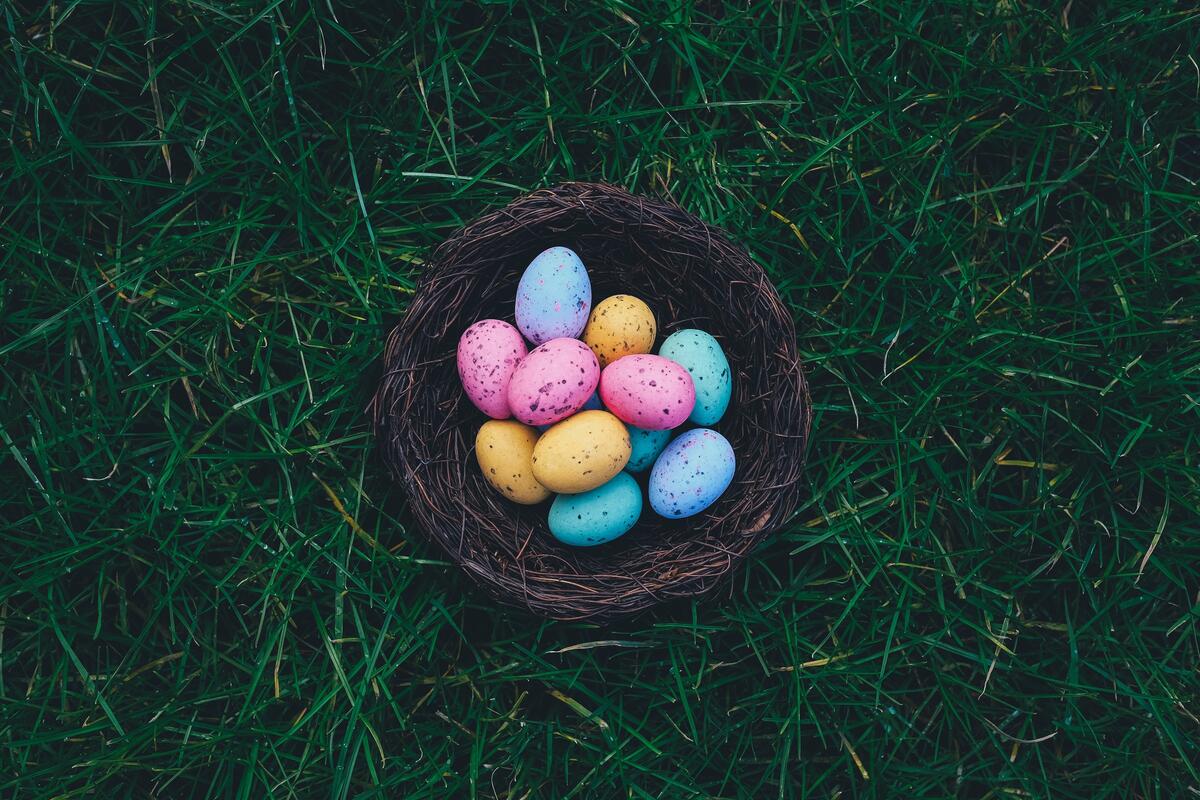 Easter eggs in a basket on the grass