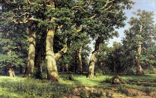Картинка со старинным летним лесом