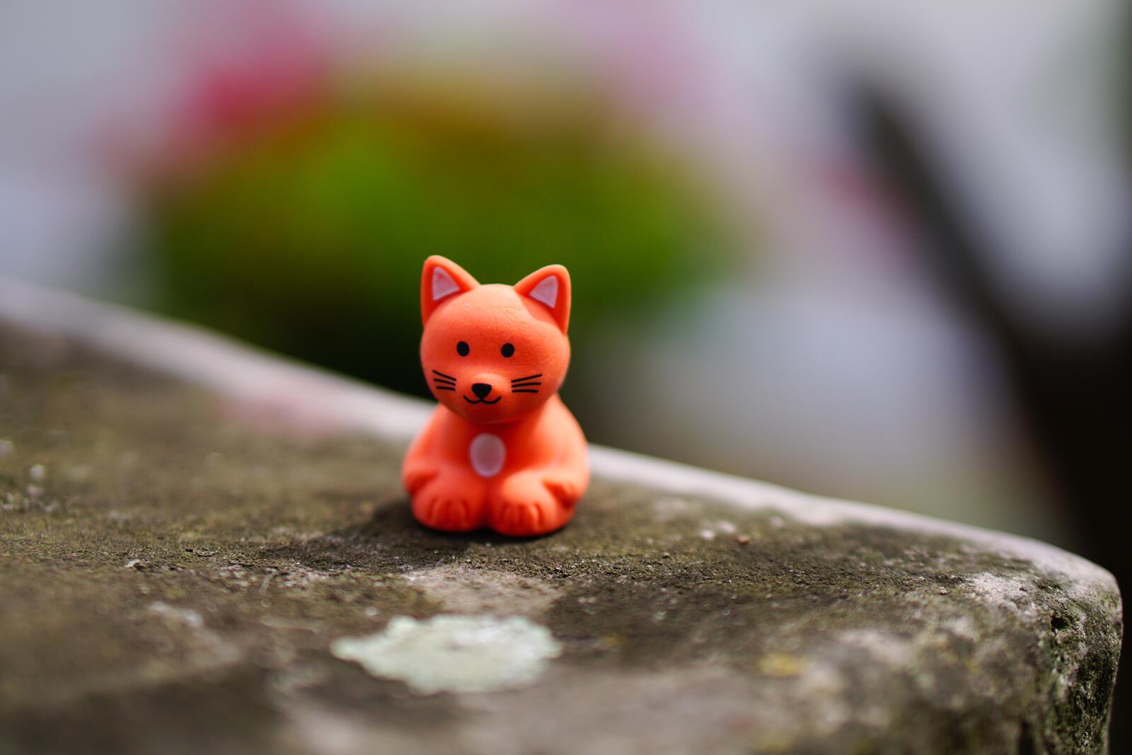 Free photo A red fox from a Kinder surprise.