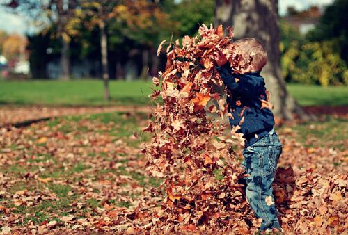 A child playing with autumn leaves
